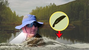 Cooling off in the lake? Here's how to handle leeches - The Weather Network