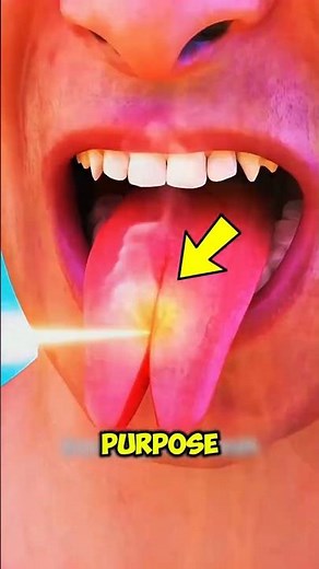 Why Would Anyone Split Their Tongue😱