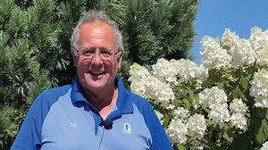 31K views · 2.6K reactions | Tim shares his favorite hydrangea. This one is growing around our pond on the north end. | Gertens | Facebook