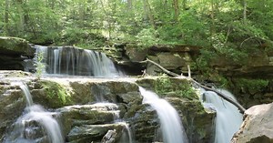 Edge of Appalachia Cedar Falls Preserve