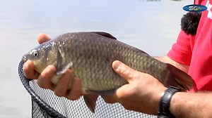 15K views · 106 reactions | We got more stock of the 5G rods earlier than expected! Going out to shops from today. Demand is extremely high, so keep an eye online for them starting to show as available from various retailers, or make sure you have a "backorder" in place with them. | Middy Match Range | Facebook