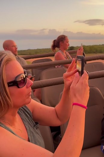 An Enchanting African Safari: Up Close with Majestic Wildlife