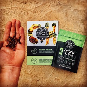How is Cricket Protein Flour Powder made?  — The Cricket Hop Co