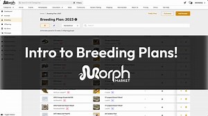 Introducing Breeding Plans to help you plan, track & promote your projects. In case you didn't notice, MorphMarket isn't just for buying and selling animals. Breeding Plans is another huge step in our platform's Animal Management capabilities. This system is free to all users, with extra benefits such as sharing projects included in existing memberships. Breeding Plans enables you to: - Experiment with pairings and visualize possible outcomes - View expected combined outcomes for your entire sea