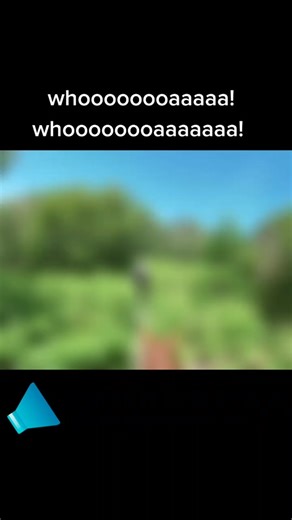 Hilarious Runaway Horse Screaming Sound