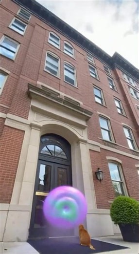 Kitten Farts So Hard… the House Collapses! 😂💨🐱