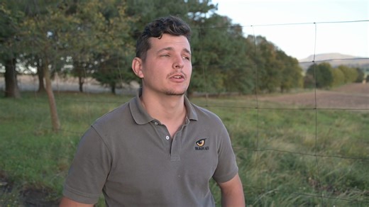 1.8K views · 44 reactions | Our Southern Drakensberg Conservation...