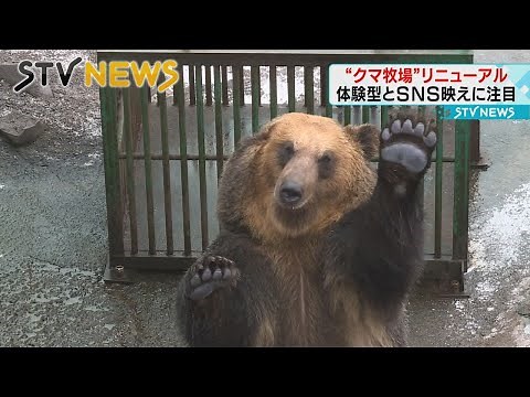 【人気の観光地】登別の「クマ牧場」がリニューアル 「もっとワクワクして」