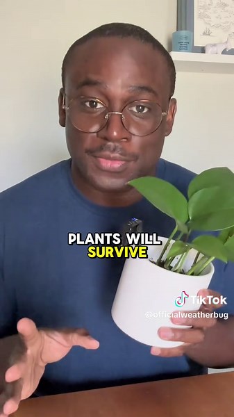 When in doubt check your local planting zones #plants #weather #planttok #plantbased #plantcare