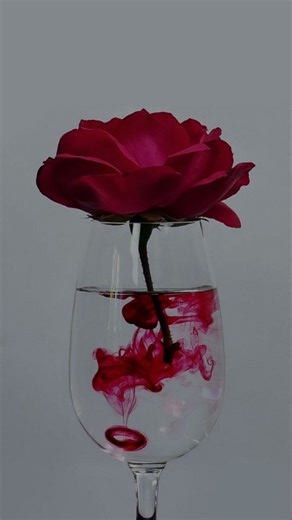 Anna Kashuba on Instagram: "Why Connective Tissue Deserves Real Care ✨ Connective tissue is the foundation of your body. It supports your skin, muscles, lymphatic system, and circulation. When connective tissue becomes stiff, dehydrated, or congested, we see puffiness, cellulite, loss of tone, and slow detoxification. That’s where icoone laser med stands apart. icoone laser med is not just a massage — it is the most advanced connective tissue stimulation technology available today. Using Roboder