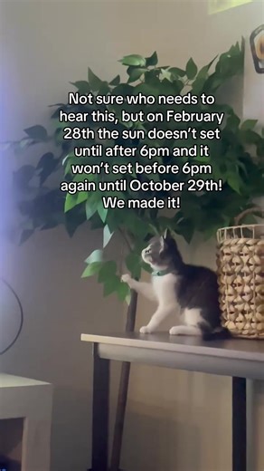 Embrace the Summer: Longer Days Ahead!