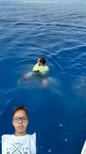 Why Fish Swim in Schools😱😱😱