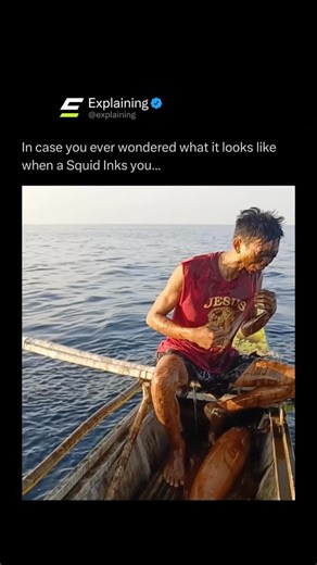 Explaining on Instagram: "When threatened, squids release a cloud of dark ink as a defense mechanism 🦑 The ink can obscure a predator’s vision, confuse them with its shape, or even contain chemicals that dull their sense of smell, making it harder to track the squid. In the ocean, this allows the squid to jet away quickly. Divers and swimmers sometimes experience this firsthand — if they get too close, a squid may ink them directly as it makes its escape. Let us know your thoughts below!