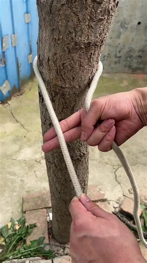 2M views · 8.3K reactions | The Ultimate Guide to Tying Knots, Tips how to tie cable ties in an easy and secure way #cableties #cablemanagement #zipties #diy #howto #lifehacks #organizing #security #tech #diycablemanagement #cabletiehacks #ropemaking #knottylife #knottypro #knottytip #knottytrick #ropemaking #knottylife #knottypro #knottytip #knottytrick #ropecraft #knottyhobby #knottyart #knottyskills #knottyknowledge | The Handyman's Haven | Facebook