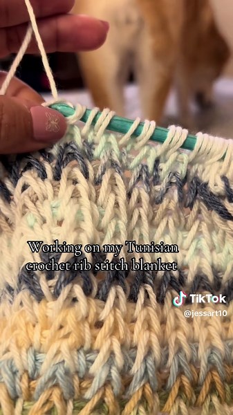 Tunisian Crochet Rib Stitch Blanket Tutorial