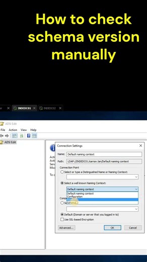 How to check schema version manually #techvideo #ytshorts