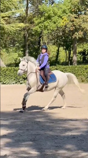 Work in progress with my Giro 💜 #equitation #poney #cheval #horse #equestrian