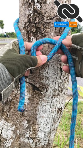 222K views · 1.3K reactions | Easy Bowline Knot Tutorial for Beginners #knotshort | KNOT SHORT | Facebook