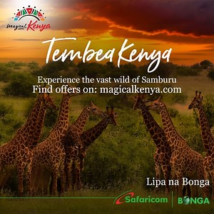 Fall in love with the spectacular views of the exciting wild and birdlife in Samburu as you relax on a break. Enjoy our amazing packages when you pay with your Bonga Points. Visit https://magicalkenya.com/tembeakenya/lipa-na-bonga-points/ for amazing offers. #TembeaKenya #SafeTravels #RediscoverTheMagic #MagicalKenya | MagicalKenya