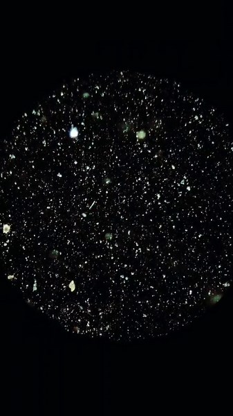 Exploring Pond Water Under the Microscope