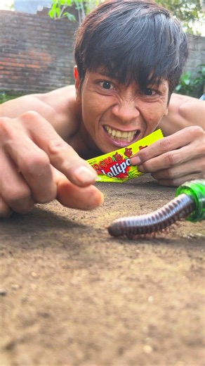 Nature’s wisdom, Tarzan’s instinct that calls the millipedes without touching them #millipede