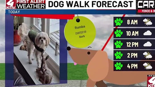Dog Walk Forecast: Rumba | Haystack News