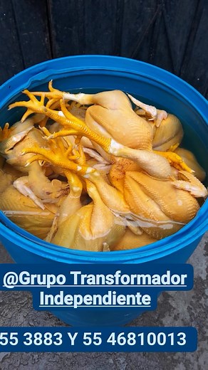 Gerardo Gonzalez on Reels