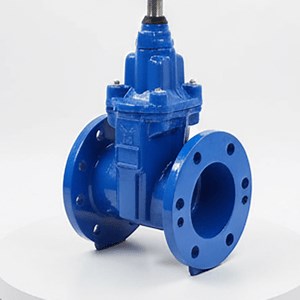 [Hot Item] High-Performance Ductile Iron Wedge Gate Valve for Resilient Sealing