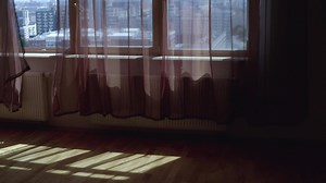 Download a window with curtains and a view of a city for free