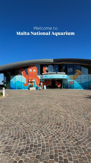 Discover the beauty beneath the waves at the Malta National Aquarium. From vibrant reef fish to majestic sharks, every corner brings you closer to the magic of the ocean. A journey through the Mediterranean and beyond🐟 | Malta National Aquarium