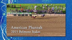 It has been a year to remember at New York's finest racetracks, and we are so happy to share it with you! We hope you continue to have a safe and joyful holiday season! Please remember, we are dark 12/21 - 12/25, and can't wait to see you for our NYRA Calendar Sale on December 26th! More: http://bit.ly/1QuT4Yc | NYRA