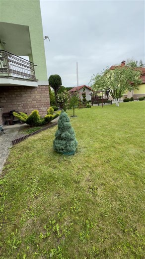 Стрижка#стрижкарослин #рекомендации #0735772677 #topiary