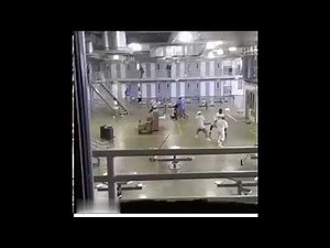 Prison Fight: With Live; Expert, Eyewitness, Play-By-Play Commentary