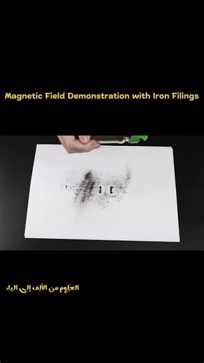 You Can Actually SEE a Magnetic Field 😱🧲
