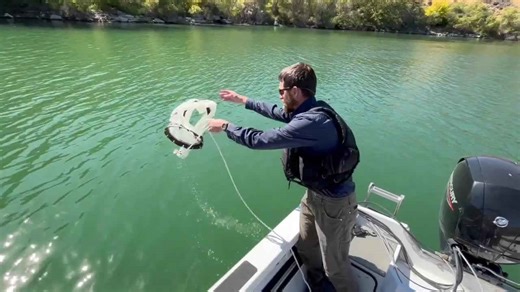 As treatment for quagga mussels nears, ISDA will build on last year's lessons