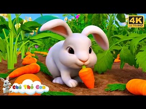 Chú Thỏ Con - Gà Trống Mèo Con Và Cún Con - Nhạc Thiếu Nhi Vui Nhộn Hay Nhất