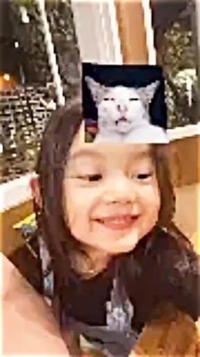 Discover the Funniest Cat Filters for TikTok