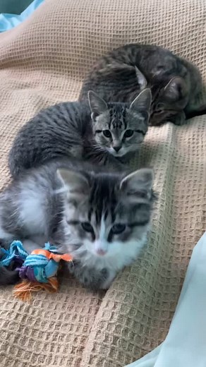 23 reactions · 15 shares | growing and growing-night time snuggles...