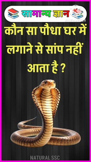 Top 50 ✍️ IAS Question🔥💯🥰 || GK Question and Answer|Part-97| #facts #gkfacts #gkinhindi