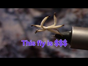 Tying a never fail trout pattern.