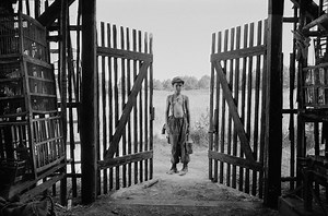 Streamingtips: tien bijzondere films/series over de Tweede Wereldoorlog