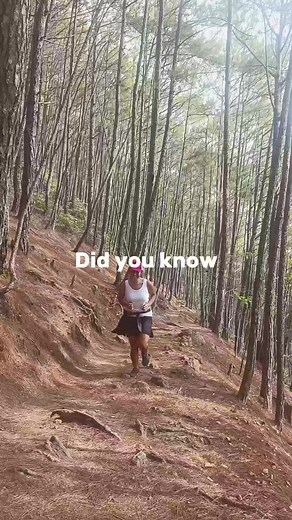 84K views · 2.3K reactions | Want to try trail running but don't know where to start? Well, this is the place to be!  Forest Bathing Trail, Camp John Hay #adventure #trail #Hiking #adventures #solotraveler #solobackpacking #backpacking #Baguio | Xzar Lim | Facebook