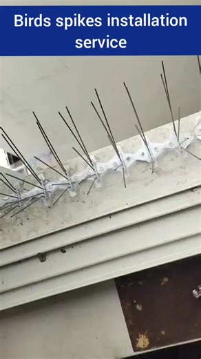 Bird droppings and nesting can damage your property and create serious hygiene issues. We provide professional bird spikes installation service to effectively prevent birds from perching and nesting on ledges, balconies, signboards, AC units, and rooftops. Our high-quality, weather-resistant spikes offer a safe, humane, and long-lasting solution without harming birds, while keeping your space clean and protected. Ideal for homes, offices, commercial buildings, and industrial areas. ✨ Safe • Dura
