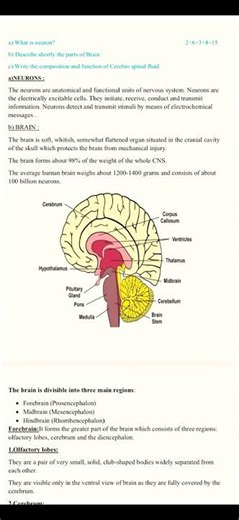 Question & Answer on Cerebro spinal fluid (CSF),Neuron and Anatomy and Physiology of Brain #viral