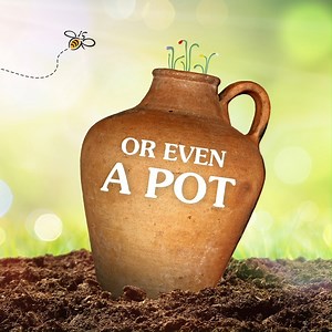 1.6K views · 85 reactions | A hive high-five to everyone who joined...