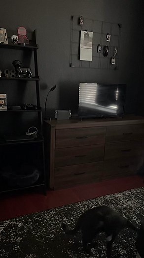 Setting Up a Hisense Roku TV for Gaming: Step-by-Step Guide