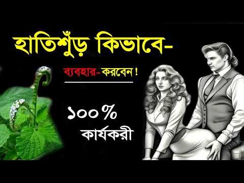 হাতিশুঁড় গাছের শিকড়ের উপকারিতা ও ব্যবহার | Heliotropium Indicum Benefits