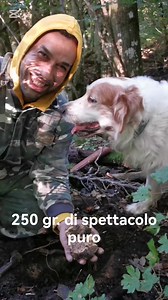 170K views · 1.6K reactions | Semplicemente noi Tuber Magnatum Pico (tartufo bianco) Una buca che ci ha regalato una bella emozione e 3 tartufi attaccati da 250 gr complessivi Buona apertura di stagione | Porretta Funghi&Tartufi | Facebook