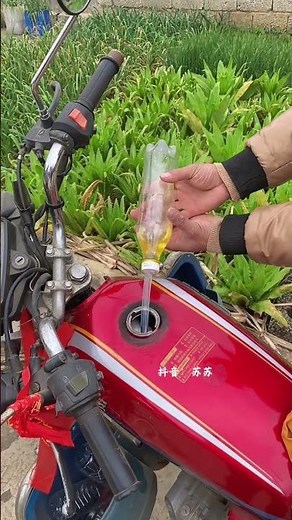 Easy Home Oil Extraction: DIY Cooking Oil Mastery