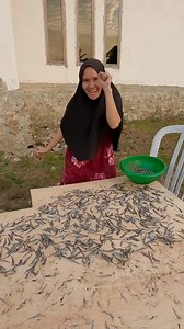 Sementara ba jemur BOLOWA bentor full musik ba lewat 😂🤣 #fyp #fbpro #reelsfb | Ratu Bolowa